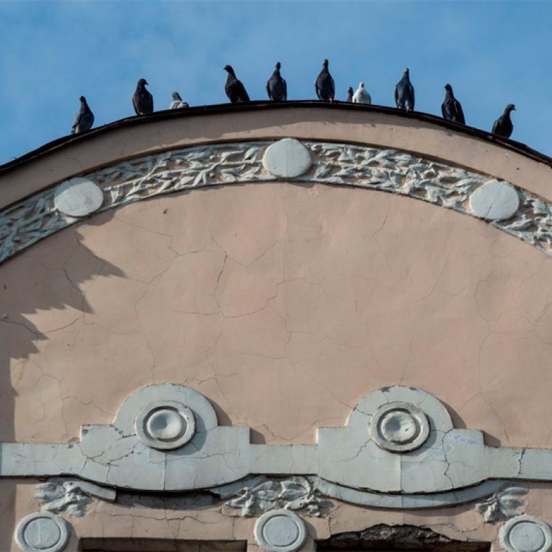 chernivtsi-pohliad-znyzu