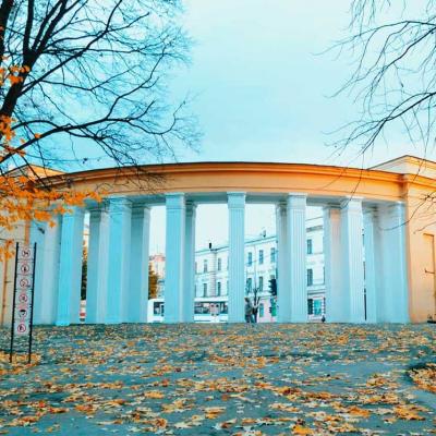 chernivtsi-chernivtsigram-osin