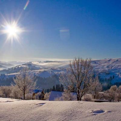 bukovyna